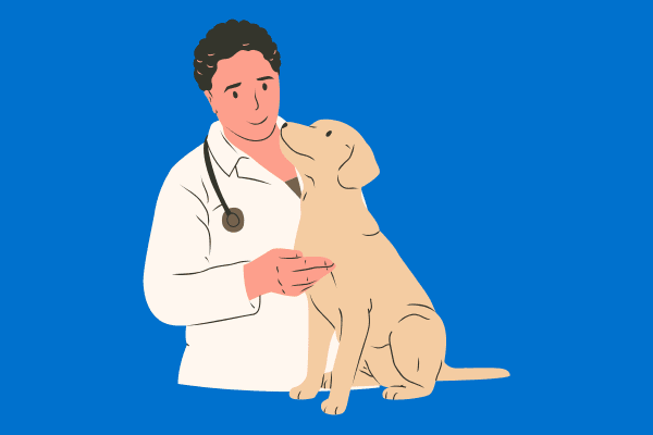 centro veterinario 2