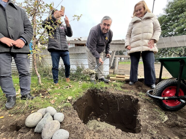 Gráfica primera piedra