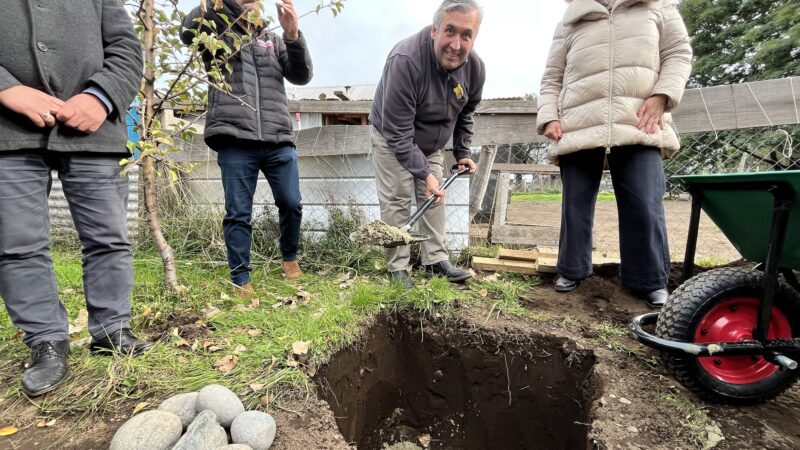 Gráfica primera piedra