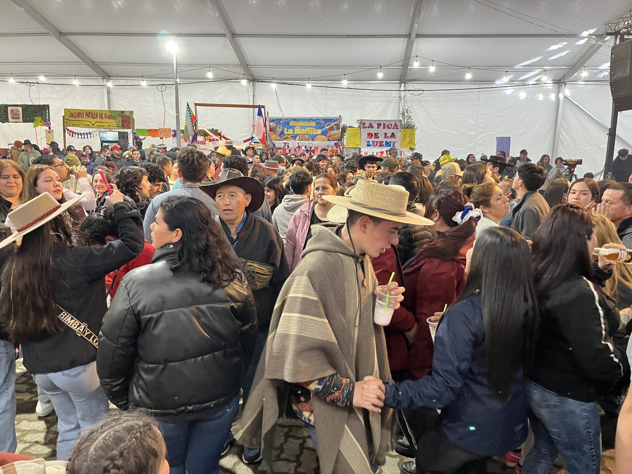 Fiesta de la chilenidad