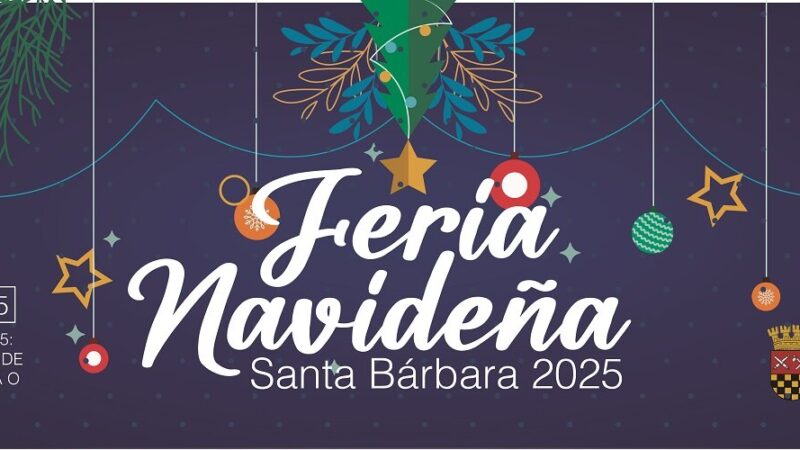 Banner Feria Navideña