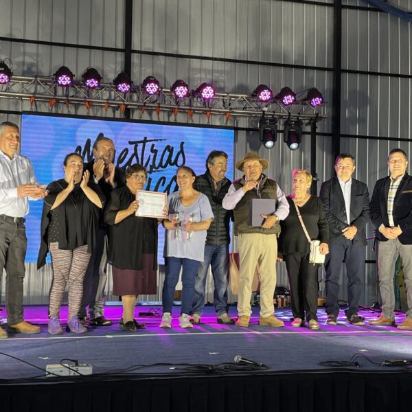 Escuela G- de Mañil conmemoró su centenario