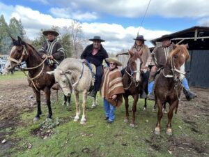 Tradicion Del Campo Chileno