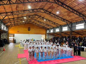 karate