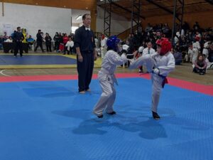 karate