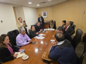 Ministra de energia