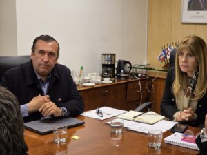 Ministra de energia