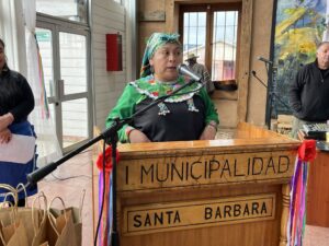 dia de la mujer indigena