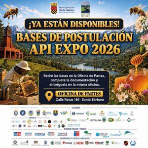 bases api expo